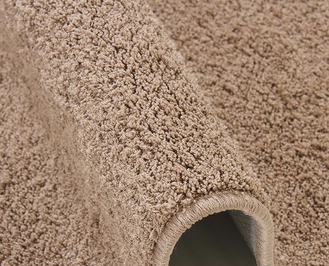 Fash Home Luxury Microfiber Bath Mat – Size 40x60 cm, 1500 GSM Ultra-Absorbent, Quick-Dry, Soft, Non-Slip, Machine Washable, Perfect for Bathroom, Shower, and Floor Use (Beige)
