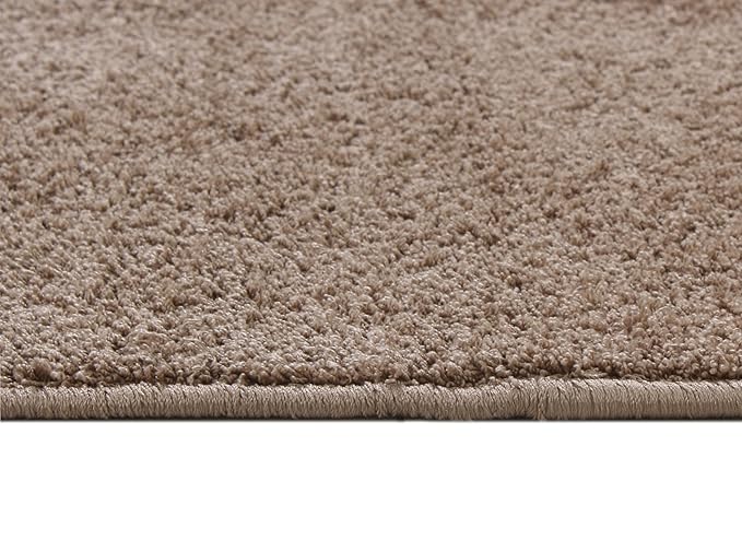 Fash Home Luxury Microfiber Bath Mat – Size 40x60 cm, 1500 GSM Ultra-Absorbent, Quick-Dry, Soft, Non-Slip, Machine Washable, Perfect for Bathroom, Shower, and Floor Use (Beige)