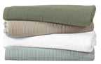 Fash Home Waffle Terry Fusion 4 pc Combo Bath Towel-75X150cm-Full Large Size 100% Soft Cotton Super Luxurious | Quick Absorbent | Only for Premium Royal Elite Class Men/Women/Couples