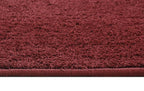 Fash Home Luxury Microfiber Bath Mat – Size 40x60 cm, 1500 GSM Ultra-Absorbent, Quick-Dry, Soft, Non-Slip, Machine Washable, Perfect for Bathroom, Shower, and Floor Use (Maroon)