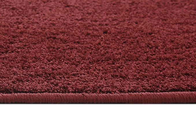 Fash Home Luxury Microfiber Bath Mat – Size 40x60 cm, 1500 GSM Ultra-Absorbent, Quick-Dry, Soft, Non-Slip, Machine Washable, Perfect for Bathroom, Shower, and Floor Use (Maroon)